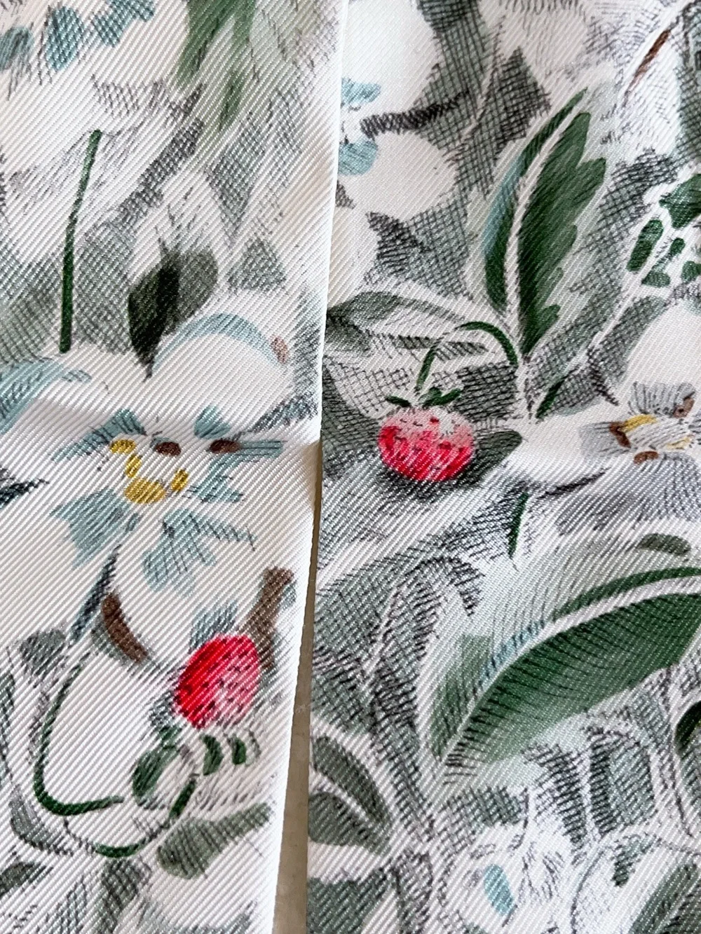 Dior Jardin D’hiver Mitzah Silk Scarf